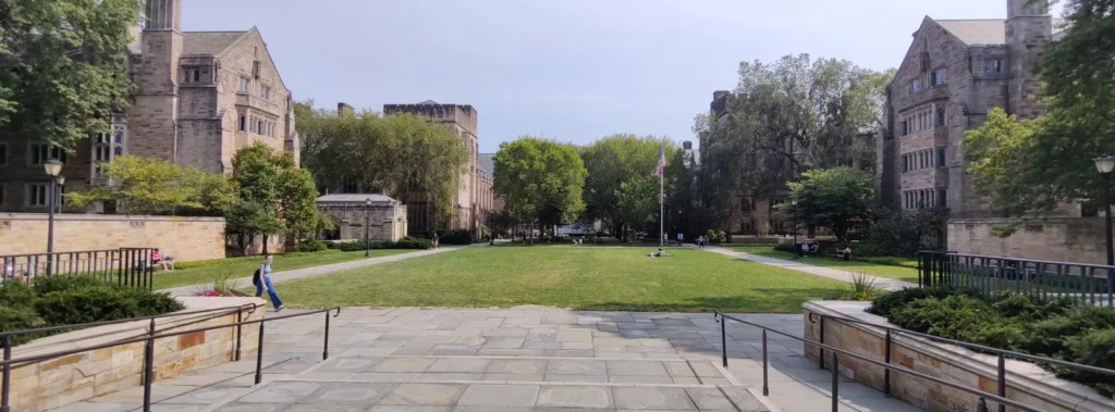 Oneplus 9 Hasselblad Panorama Natural